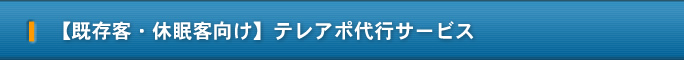 【既存客・休眠客向け】テレアポ代行サービス