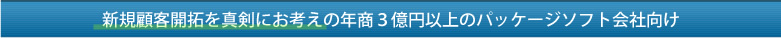 新規顧客開拓を真剣にお考えの年商3億円以上のパッケージソフト会社向け